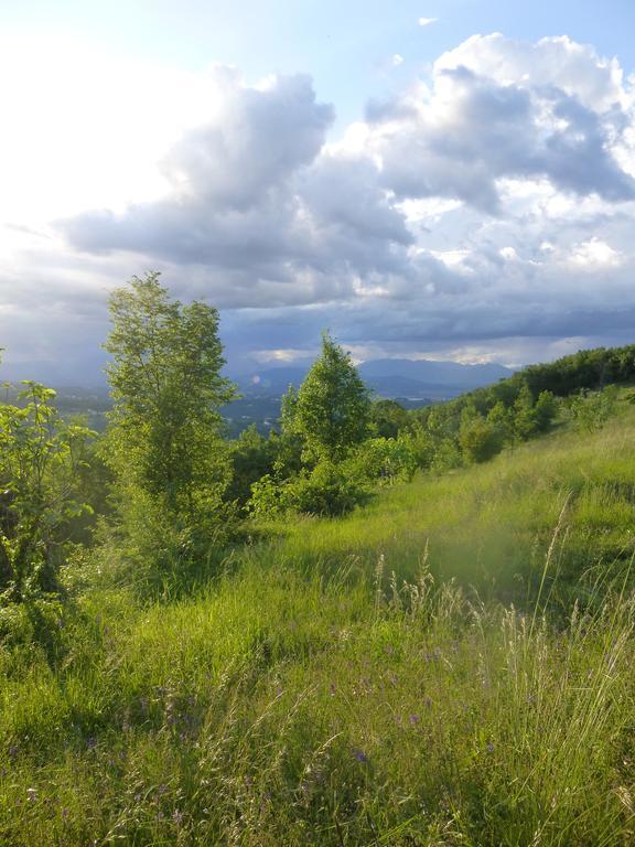 La Casetta Del Tiglio Bed & Breakfast Arcugnano Екстериор снимка